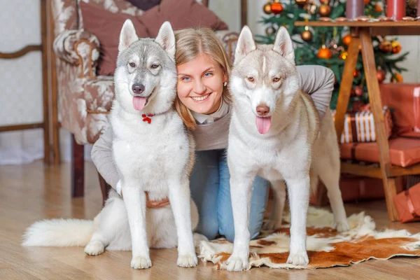 Menina está abraçando seu cão husky perto da árvore de Natal — Fotografia de Stock