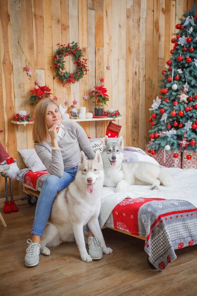 Menina com husky na cama perto da árvore de Natal — Fotografia de Stock
