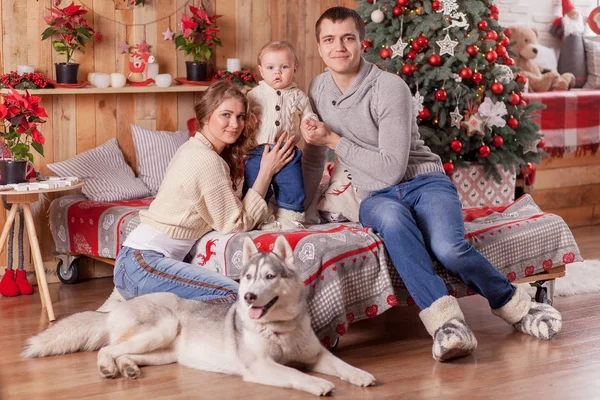 Lycklig familj och en hund Siberian Husky julgran — Stockfoto