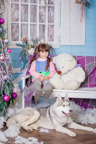 Schattig klein meisje met Husky — Stockfoto