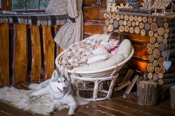 Hübsches Mädchen mit Hund in der Nähe eines Weihnachtsbaums — Stockfoto