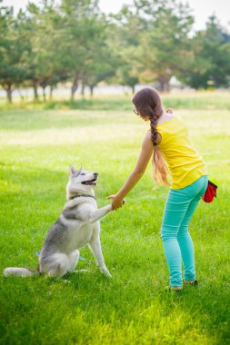 Genç kız husky köpek sarılma