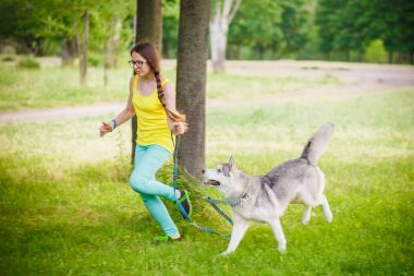 husky köpek ile kız oyun