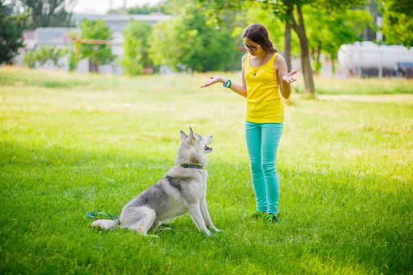 Girl playing with Husky — Stock Photo, Image