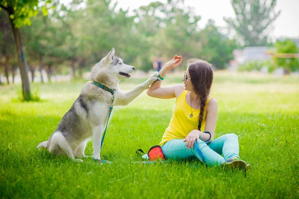 Cão de raça mista dá uma mulher a pata siberiana husky — Fotografia de Stock