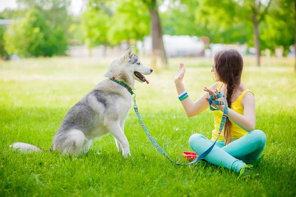 Cão de raça mista dá uma mulher a pata siberiana husky — Fotografia de Stock