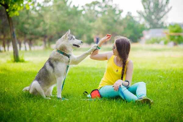 Mixed breed dog gives a woman the paw siberian husky — Stock Photo, Image