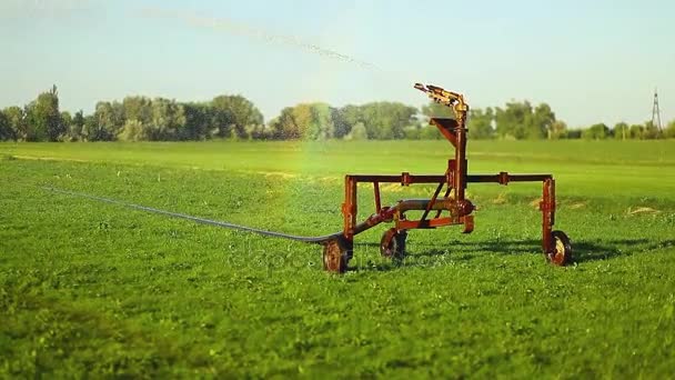 农业领域水灌溉浇水 — 图库视频影像