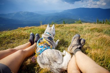 Bacaklar dağ içinde seyahat köpek oturan Gezgin
