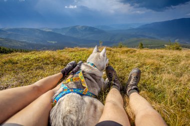 Bacaklar dağ içinde seyahat köpek oturan Gezgin