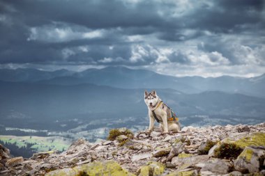 Dağlar oturma köpeğe benziyor