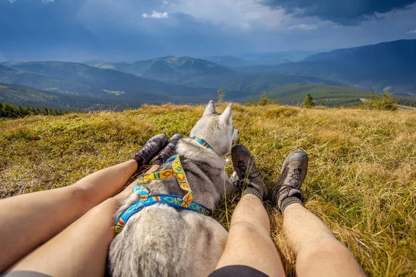 Las piernas del viajero sentado montaña en el perro de viaje — Foto de Stock