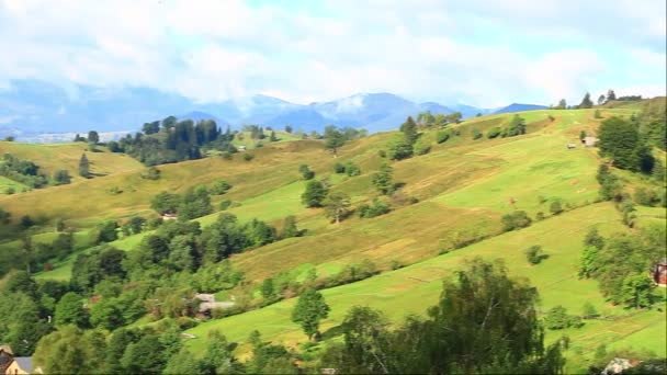 Yaz aylarında Karpat Dağları Panoraması — Stok video