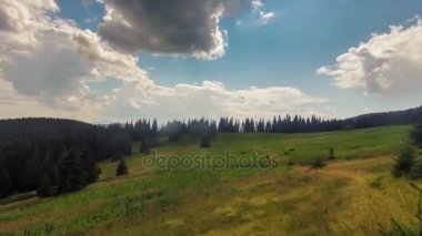 dağlarda bir çayırda inek otlatmak