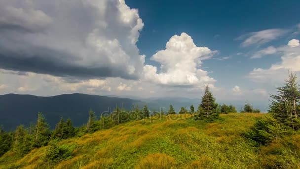 Time Lapse Nuvens varrer sobre pinheiros de altura costa — Vídeo de Stock