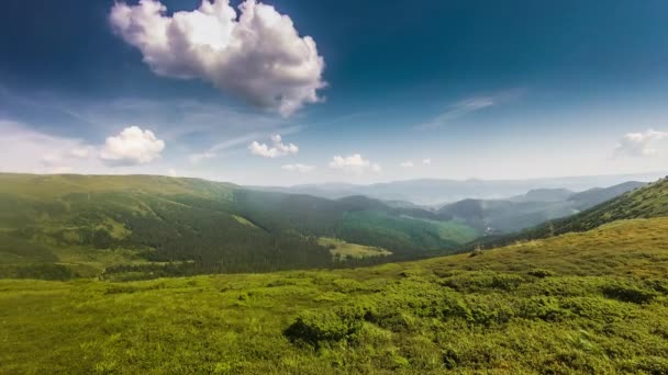 Stado wypasu owiec w górski krajobraz. Widok z lotu ptaka krajobrazy przyrody na zachód słońca niebo timelapse — Wideo stockowe