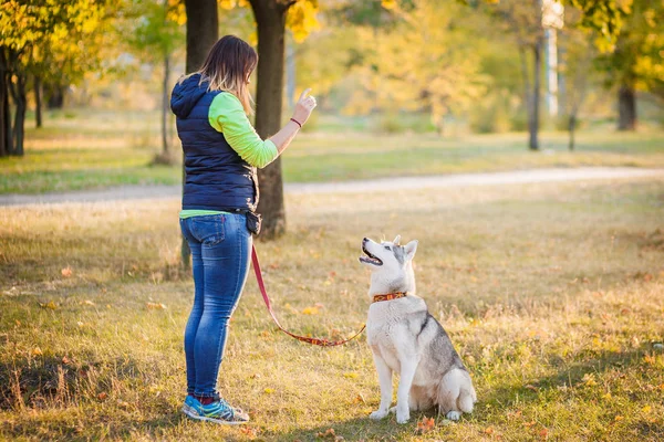 Husky sits with his mistress — Stock Photo, Image