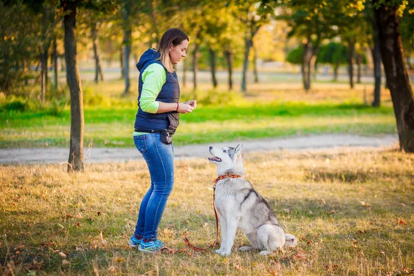 Jovem menina jogar com husky siberiano — Fotografia de Stock