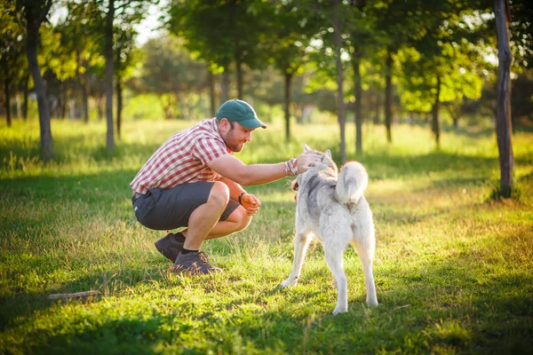 Homem e Husky cão passeio no parque — Fotografia de Stock