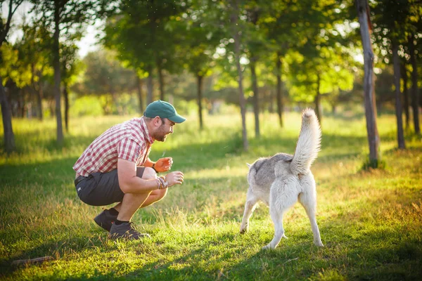 Hombre y perro Husky pasear en el parque —  Fotos de Stock