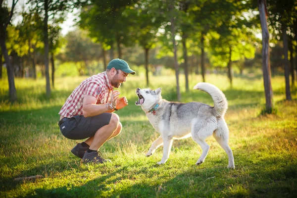 Mann und Husky-Hund spazieren im Park — Stockfoto