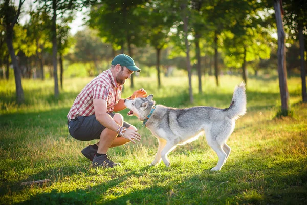 Hombre y perro Husky pasear en el parque —  Fotos de Stock