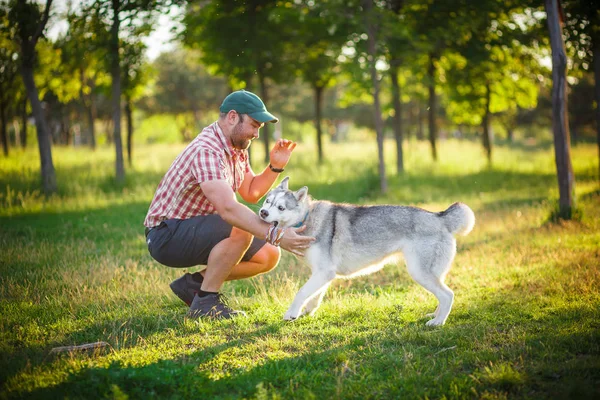 Mann und Husky-Hund spazieren im Park — Stockfoto