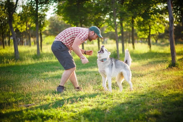 Homem e Husky cão passeio no parque — Fotografia de Stock