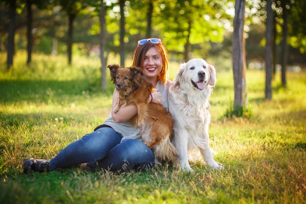 Girl with dogs in the park — Stock Photo, Image