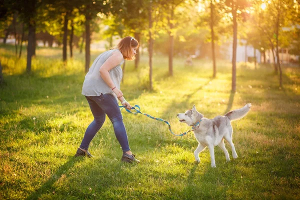Girl Training the dog husky — Stock Photo, Image