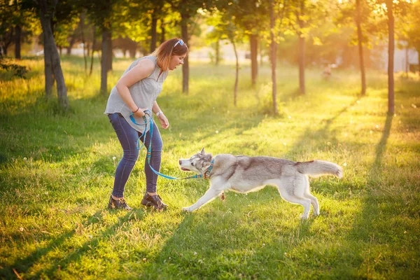 Girl Training the dog husky — Stock Photo, Image