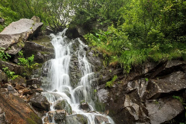 Cachoeira Montanhas Ucraniano Carphatian Natureza — Fotografia de Stock
