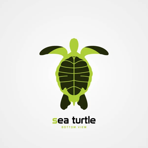 Πράσινη θαλάσσια χελώνα. Κάτω όψη. Σύγχρονο σύμβολο. Διάνυσμα — Διανυσματικό Αρχείο