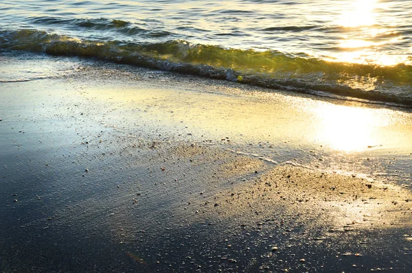Ola verde en la orilla del mar de la mañana — Foto de Stock
