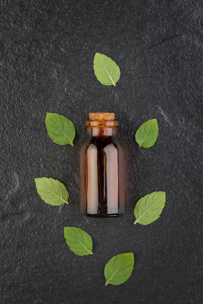 Essential oil μπουκάλι με φρέσκο δυόσμο πράσινη σε μαύρη πέτρα έκφραση — Φωτογραφία Αρχείου