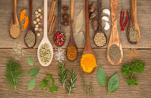 Vari tipi di spezie ed erbe aromatiche con cucchiaio di legno sul retro in legno — Foto Stock