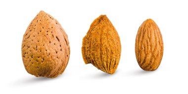 Badem izole. Badem ile Seamless modeli. Badem WHI doğum