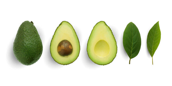 Seamless pattern with avocado and leaves on white background. Wh