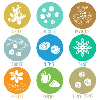 Taze otlar ve baharatlar Icon set. Vektör çizim
