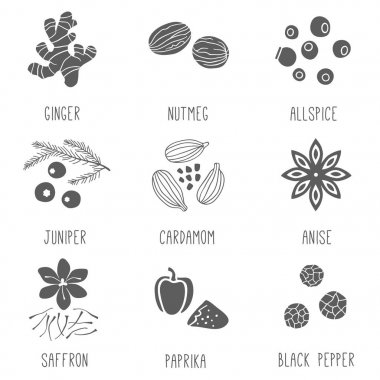 Taze otlar ve baharatlar Icon set. Ginger, yenibahar, kakule, ardıç, küçük hindistan cevizi, safran, anason, kırmızı biber, kara biber. Vektör çizim