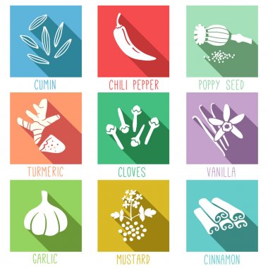 Taze otlar ve baharatlar Icon set. Kimyon, biber biber, haşhaş tohumu, zerdeçal, karanfil, vanilya, sarımsak, hardal, tarçın. Vektör çizim