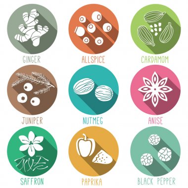 Taze otlar ve baharatlar Icon set. Ginger, yenibahar, kakule, ardıç, küçük hindistan cevizi, safran, anason, kırmızı biber, kara biber. Vektör çizim