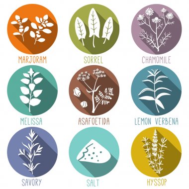Taze otlar ve baharatlar simgesi çevrelerinde uzun gölgeler ile düz stil Icons set. Mercanköşk, kuzukulağı, papatya, Melissa, şeytantersi, Lemon verbena, kokulu, tuz, çördük. Vektör çizim