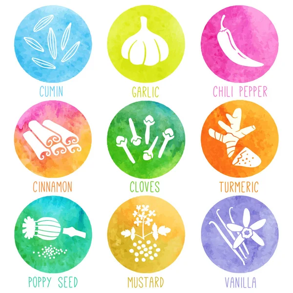 Fresh Herbs Spices Icon Set Cumin Chili Pepper Poppy Seed — Stock Vector