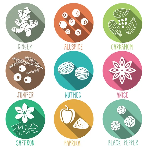 Fresh Herbs Spices Icon Set Ginger Allspice Cardamom Juniper Nutmeg — Stock Vector