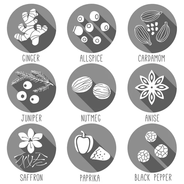 Fresh Herbs Spices Icon Set Ginger Allspice Cardamom Juniper Nutmeg — Stock Vector