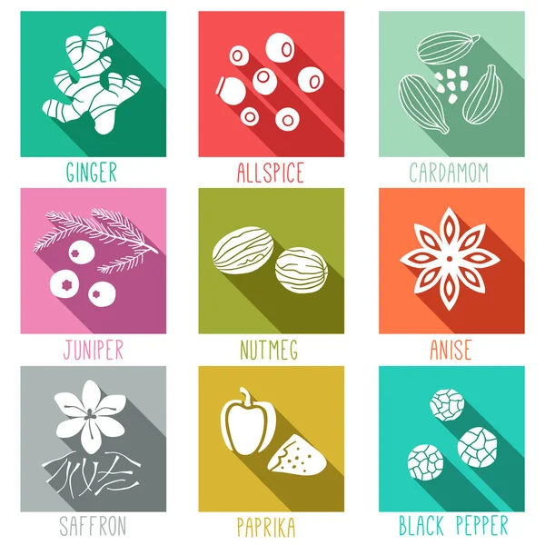 Fresh Herbs Spices Icon Set Ginger Allspice Cardamom Juniper Nutmeg — Stock Vector