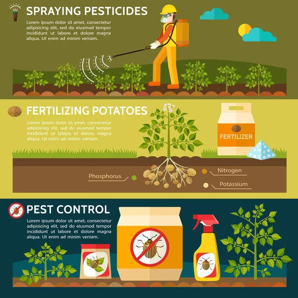 Farmer Spraying Pesticides Potato Field Fertilizing Potatoes Colorado Potato Beetle — Stock Vector