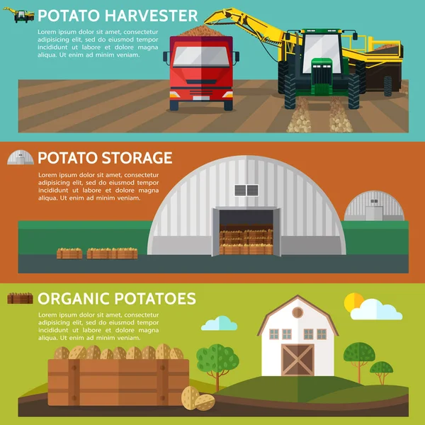 Bramborový Kombajn Sklad Brambor Bio Brambory Vektor — Stockový vektor