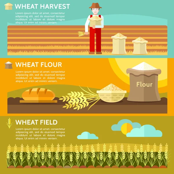 Wheat Harvest Farmer Hand Keep Wheat Spikelet Vector Illustration — Stock Vector